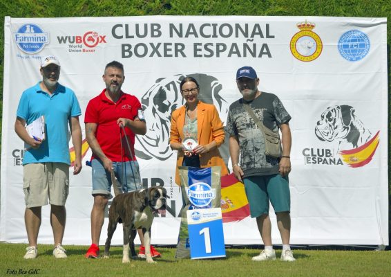 MONOGRÁFICA CANTABRIA CNBE 2025 EXC1