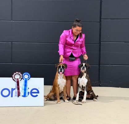 MJCH Erika de Casa Rodrigo e Icaro de la Calle del Sol Campeonatos Internacionales