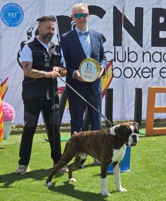 ICARO DE LA CALLE DEL SOL, Campeón Clase intermedia EXC1° RCAC WUBOX ESPAÑA 2026